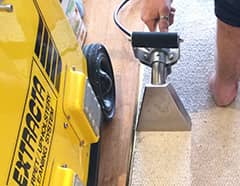 carpet stain cleanup