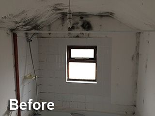 moisture removal services