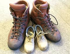 carpet stain cleanup