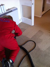 carpet cleaning Yeovil & somerset